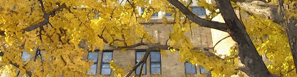 神奈川総合法律事務所