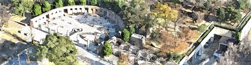 神奈川総合法律事務所